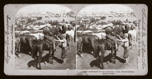 Boer War (Sydafrika af Unbekannt Unbekannt
