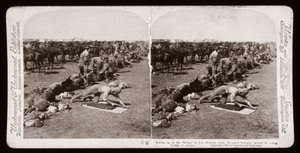 Boer War (Sydafrika af Unbekannt Unbekannt