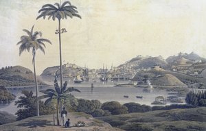 En udsigt over byen St. George på øen Grenada, taget fra Belmont Estate, indgraveret af William Daniell (1769-1837), ca. 1810 af Lieutenant Colonel J. Wilson