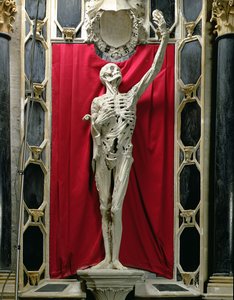 Flayed, eller skelettet, graven af Rene de Chalon, Prince of Orange, ca. 1544