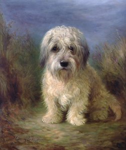 Dandie Dinmont Terrier (olie på lærred)