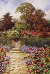 The Rose Walk (farve litho)