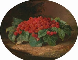 Hindbær, ca. 1859.