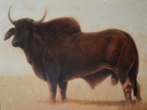 Brahmin Bull af Lincoln Seligman