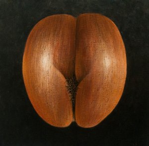 Coco de Mer, 2010 (akryl på lærred)