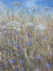Kornblomst 1 af Lincoln Seligman