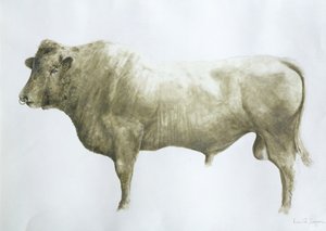 Islay Bull, 2004 (akryl på lærred)