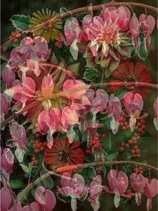 HANGING SPRING COLLAGE, 2017 (blandede medier)