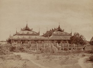 Amerapoora: Pyee road Kyoung af Linnaeus Tripe