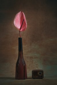  af Liu Xing