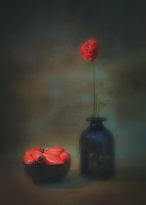  af Liu Xing