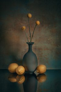  af Liu Xing