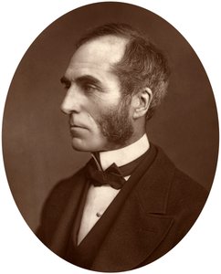 Goldwin Smith, professor, 1878 af Lock and Whitfield