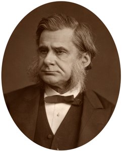 Professor Thomas Henry Huxley, 1880. af Lock and Whitfield