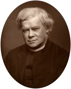 Pastor John Saul Howson, dekan af Chester, 1882. af Lock and Whitfield