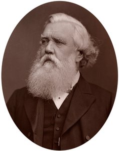 Højre Hon Austen Henry Layard DCL, britisk ambassadør i Konstantinopel, 1877. af Lock and Whitfield