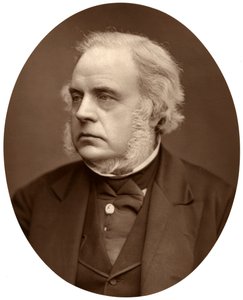 Højre Hon John Bright, MP for Birmingham, 1876. af Lock and Whitfield