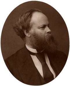Samuel Plimsoll, Esq, MP, britisk liberal politiker og social reformator, 1876. af Lock and Whitfield