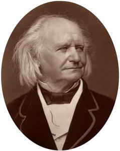 Thomas Webster, maler, 1878. af Lock and Whitfield