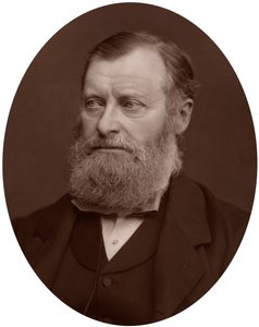 William Edward Forster MP, 1878. af Lock and Whitfield