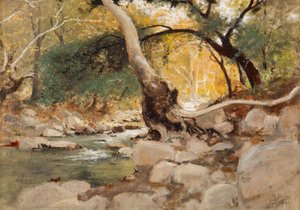 Mission Canyon, Santa Barbara af Lockwood de Forest