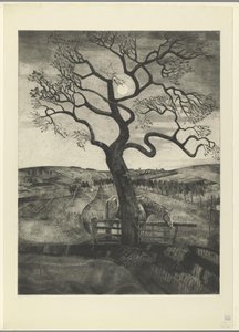 Hest i en eng ved Etikhove Vieux Cheval og Repos (originalt titel) af Lodewijk Schelfhout (signed by artist)