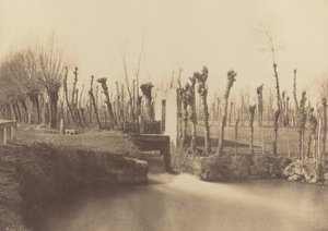 Landskab, Montebello, ca. 1860. af Léon Gérard