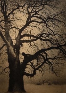 Léon Spilliaert (1881-1946) Træ om vinteren Brafa 2019 31-01-2019 af Leon Spilliaert