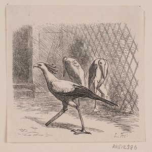 Sekretær i Jardin des Plantes af Lorenz Frølich