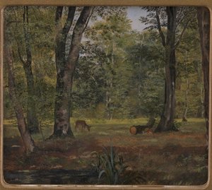 Charlottenlund Skov, Nord for København