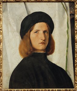 Portræt af en ung mand foran et hvidt gardin (maleri på lindetræ) af Lorenzo Lotto