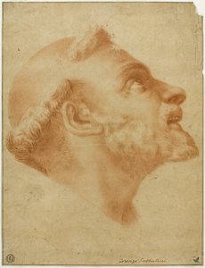 Opvendt leder af Saint Dominic af Lorenzo Sabbatini