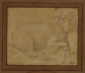 Undersøgelse af et lam ... af Lorenzo di Credi