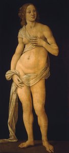 Venus af Lorenzo di Credi