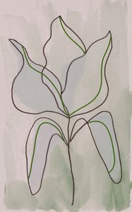 Minimalistisk botanisk skitse af Lori Ann Folz