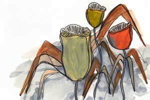 Afdæmpede blomsterformer af Lori Ann Folz
