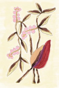 Pink Berry Botanicals af Lori Ann Folz