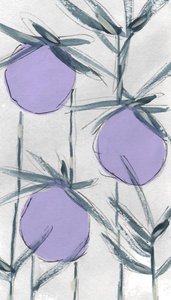 Lilla botaniske frugter