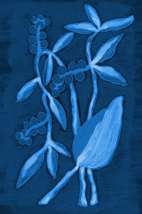 Frøkapslen 1 – Deep Blue