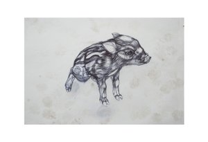 Lille gris, 2015, (bic biro på papir) af Lou Gibbs