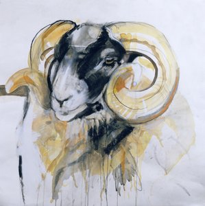 Langhornsfår (blandet medier)
