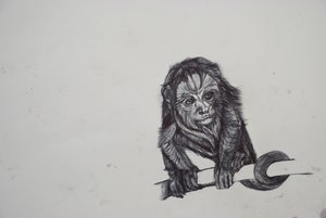 Monkey Business,2016,(bic biro på papir) af Lou Gibbs