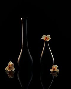 Elegante orkidé-refleksioner af Louie Luo