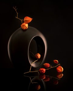 Orange Botanicals sort vase