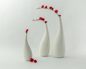 Røde vaser og blomster