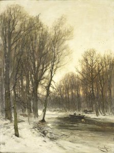 En eftermiddag udsigt over Snowy Woods