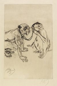 Sammenlignende anatomi af Louis Auguste Mathieu Legrand