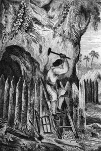 Jeg plantede ti rækker palisader. gravering efter M. de Sainsons tegning til Daniel Defoes Bog (De foe) "Robinson Crusoe"" fransk udgave af 1837.
