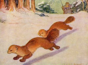I Zoo: Martens (farve litho) af Louis Augustus Sargent