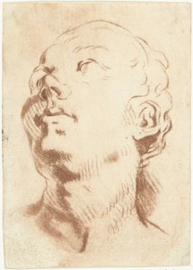 Studieark med et hoved, kigger op af Louis Bernard Coclers